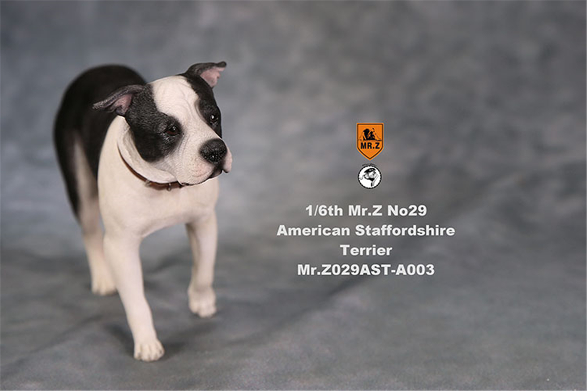 Mr.Z Studio 1:6 American Staffordshire Terrier Dog Pet Healing Figure Canidae Animal Model Toy Collector Desktop Decor Adult Mr.Z Studio 1:6 American Staffordshire Terrier Dog Pet Healing Figure Canidae Animal Model Toy Collector Desktop Decor Adult