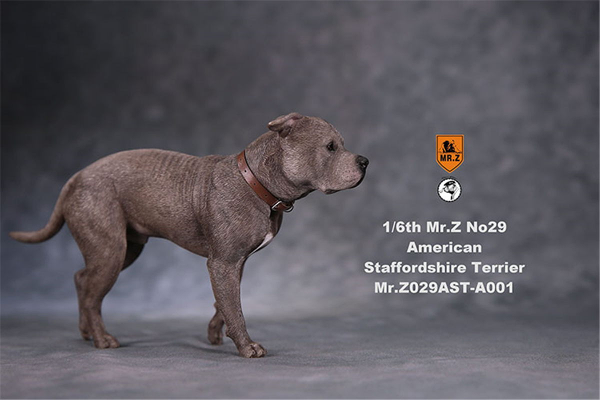 Mr.Z Studio 1:6 American Staffordshire Terrier Dog Pet Healing Figure Canidae Animal Model Toy Collector Desktop Decor Adult Mr.Z Studio 1:6 American Staffordshire Terrier Dog Pet Healing Figure Canidae Animal Model Toy Collector Desktop Decor Adult