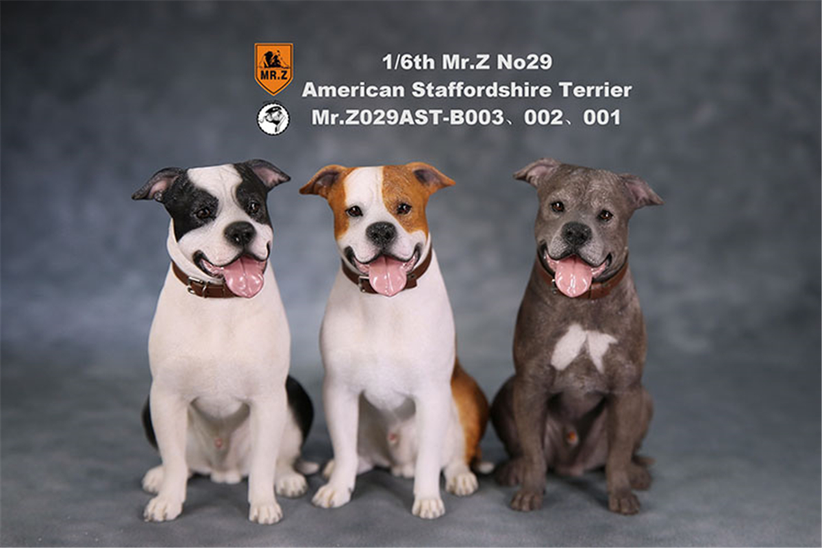 Mr.Z Studio 1:6 American Staffordshire Terrier Dog Pet Healing Figure Canidae Animal Model Toy Collector Desktop Decor Adult Mr.Z Studio 1:6 American Staffordshire Terrier Dog Pet Healing Figure Canidae Animal Model Toy Collector Desktop Decor Adult