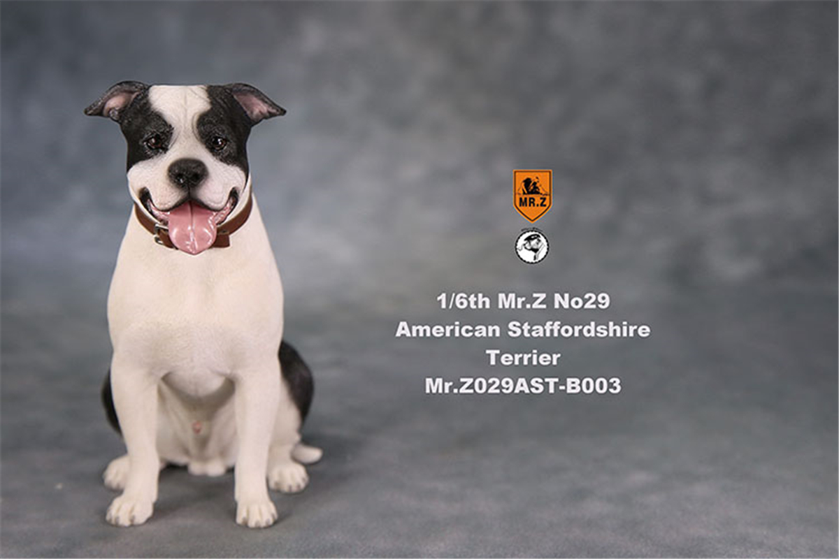 Mr.Z Studio 1:6 American Staffordshire Terrier Dog Pet Healing Figure Canidae Animal Model Toy Collector Desktop Decor Adult Mr.Z Studio 1:6 American Staffordshire Terrier Dog Pet Healing Figure Canidae Animal Model Toy Collector Desktop Decor Adult