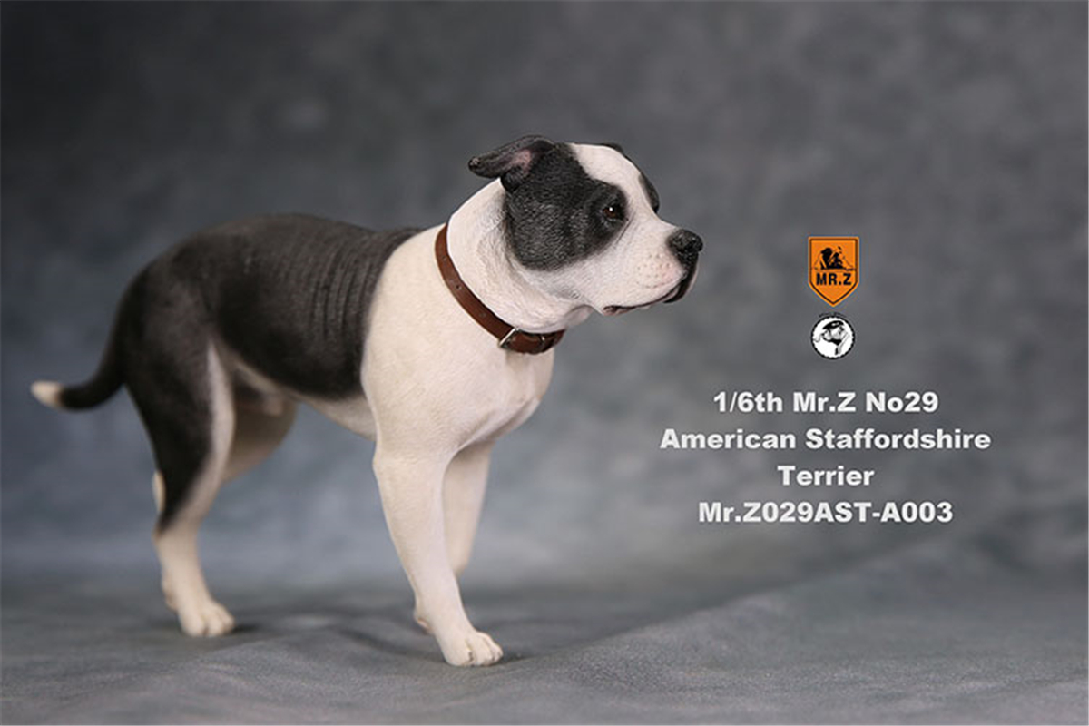 Mr.Z Studio 1:6 American Staffordshire Terrier Dog Pet Healing Figure Canidae Animal Model Toy Collector Desktop Decor Adult Mr.Z Studio 1:6 American Staffordshire Terrier Dog Pet Healing Figure Canidae Animal Model Toy Collector Desktop Decor Adult