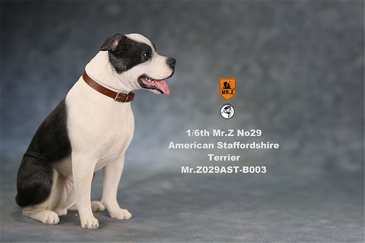 Mr.Z Studio 1:6 American Staffordshire Terrier Dog Pet Healing Figure Canidae Animal Model Toy Collector Desktop Decor Adult Mr.Z Studio 1:6 American Staffordshire Terrier Dog Pet Healing Figure Canidae Animal Model Toy Collector Desktop Decor Adult