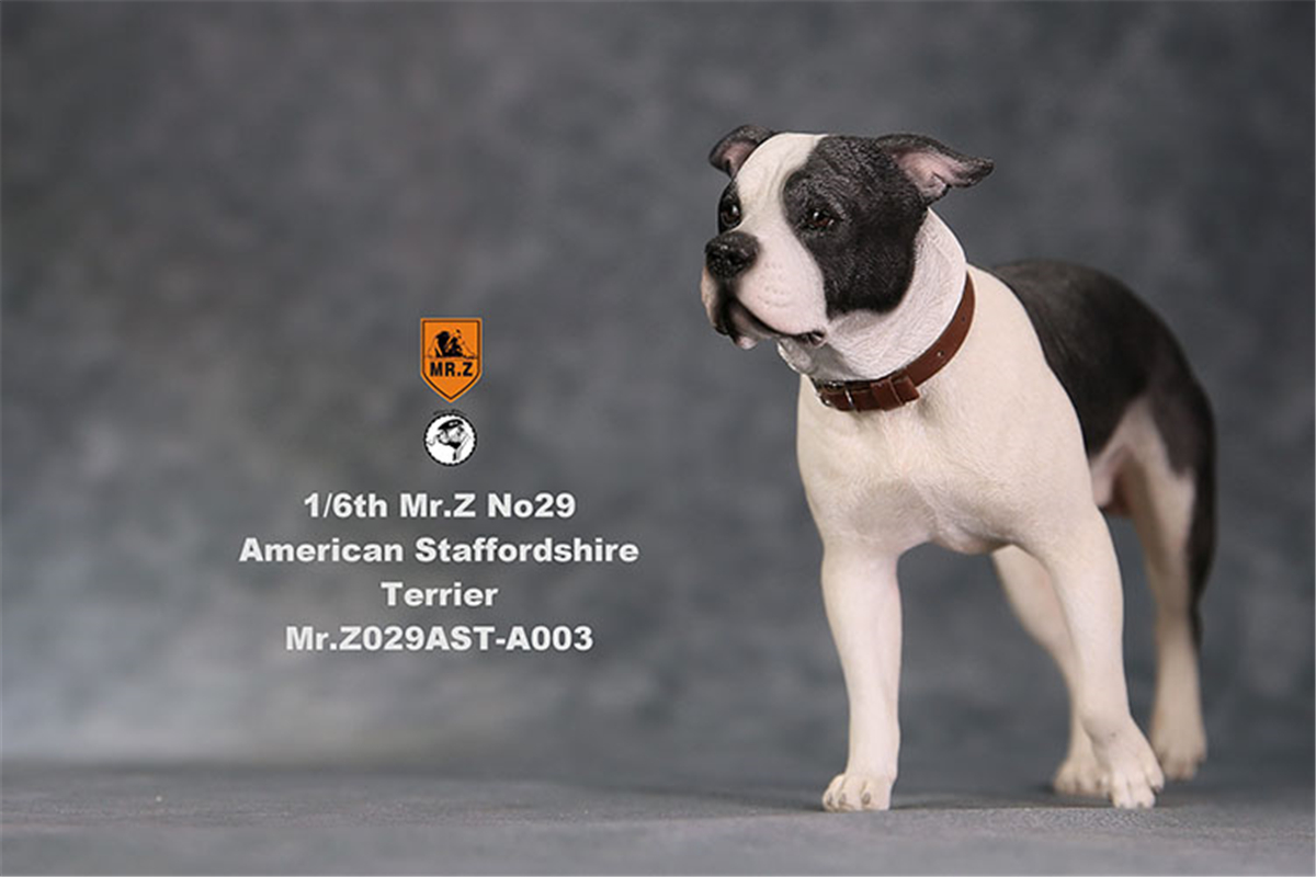 Mr.Z Studio 1:6 American Staffordshire Terrier Dog Pet Healing Figure Canidae Animal Model Toy Collector Desktop Decor Adult Mr.Z Studio 1:6 American Staffordshire Terrier Dog Pet Healing Figure Canidae Animal Model Toy Collector Desktop Decor Adult