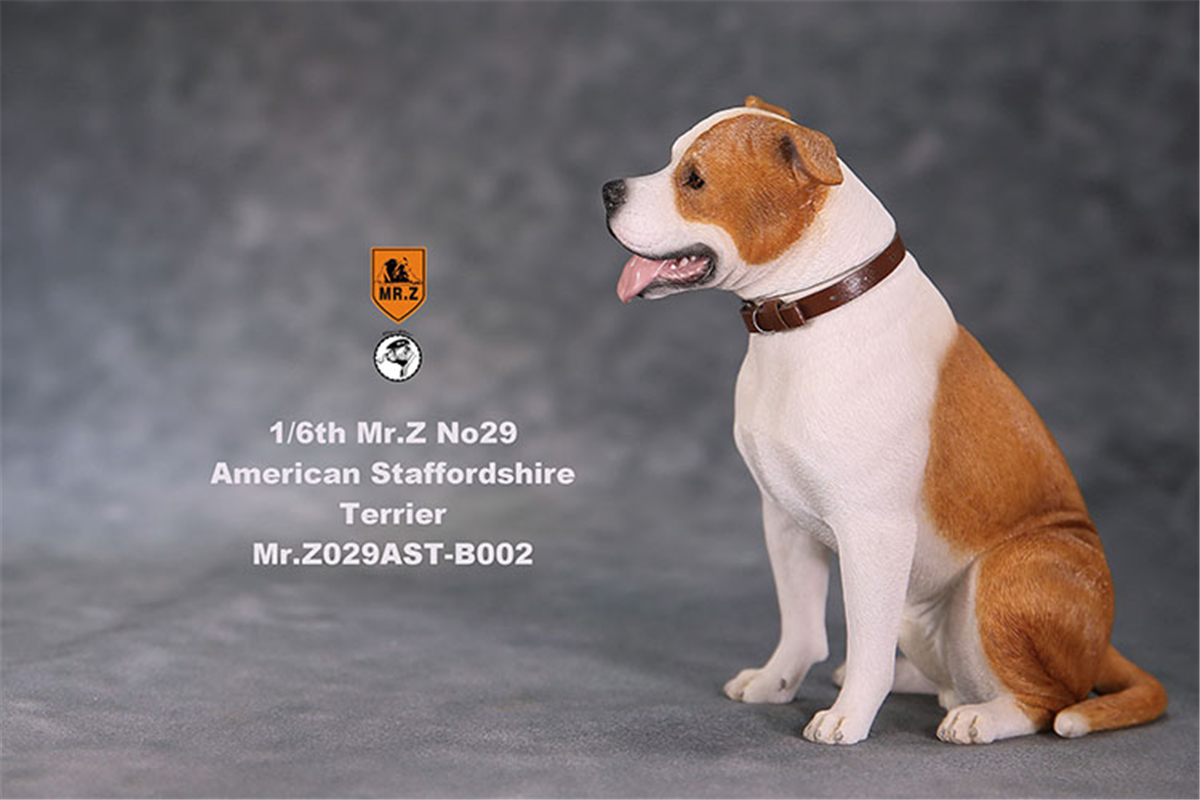 Mr.Z Studio 1:6 American Staffordshire Terrier Dog Pet Healing Figure Canidae Animal Model Toy Collector Desktop Decor Adult Mr.Z Studio 1:6 American Staffordshire Terrier Dog Pet Healing Figure Canidae Animal Model Toy Collector Desktop Decor Adult