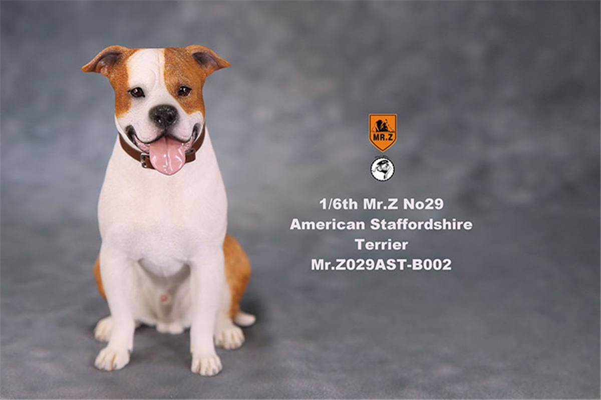 Mr.Z Studio 1:6 American Staffordshire Terrier Dog Pet Healing Figure Canidae Animal Model Toy Collector Desktop Decor Adult Mr.Z Studio 1:6 American Staffordshire Terrier Dog Pet Healing Figure Canidae Animal Model Toy Collector Desktop Decor Adult
