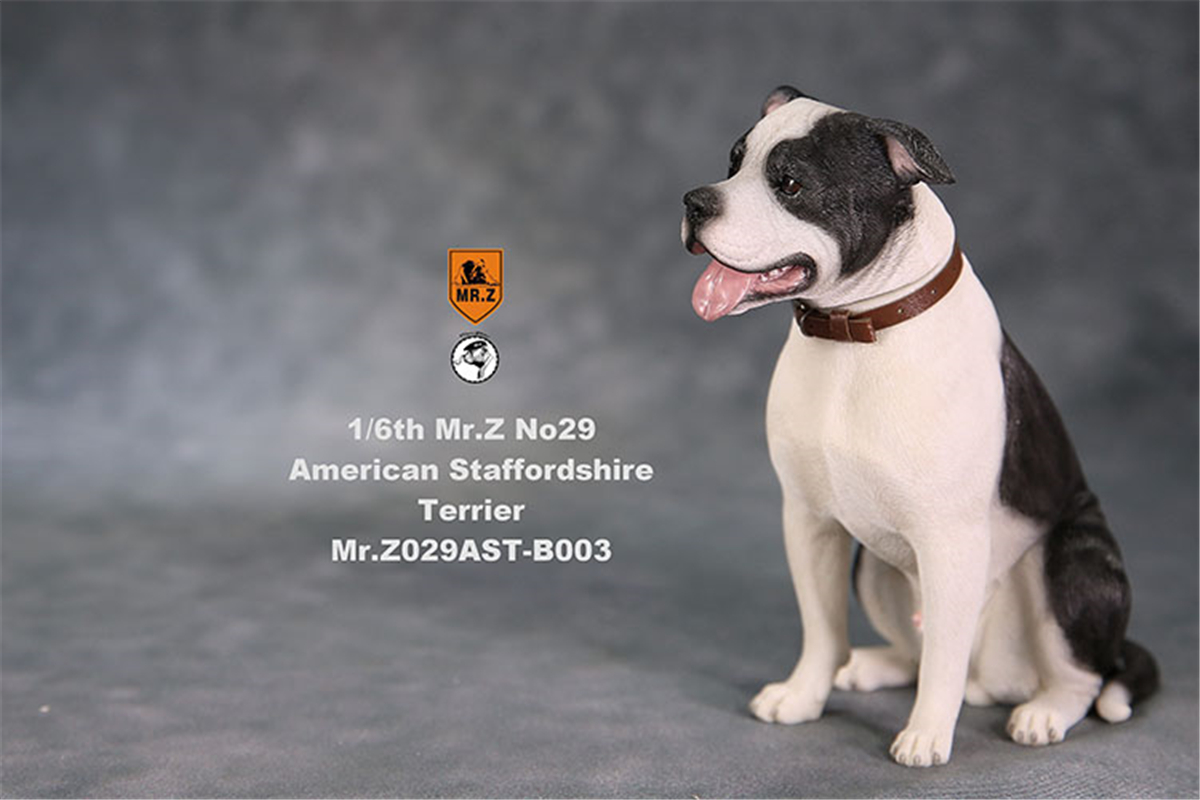 Mr.Z Studio 1:6 American Staffordshire Terrier Dog Pet Healing Figure Canidae Animal Model Toy Collector Desktop Decor Adult Mr.Z Studio 1:6 American Staffordshire Terrier Dog Pet Healing Figure Canidae Animal Model Toy Collector Desktop Decor Adult