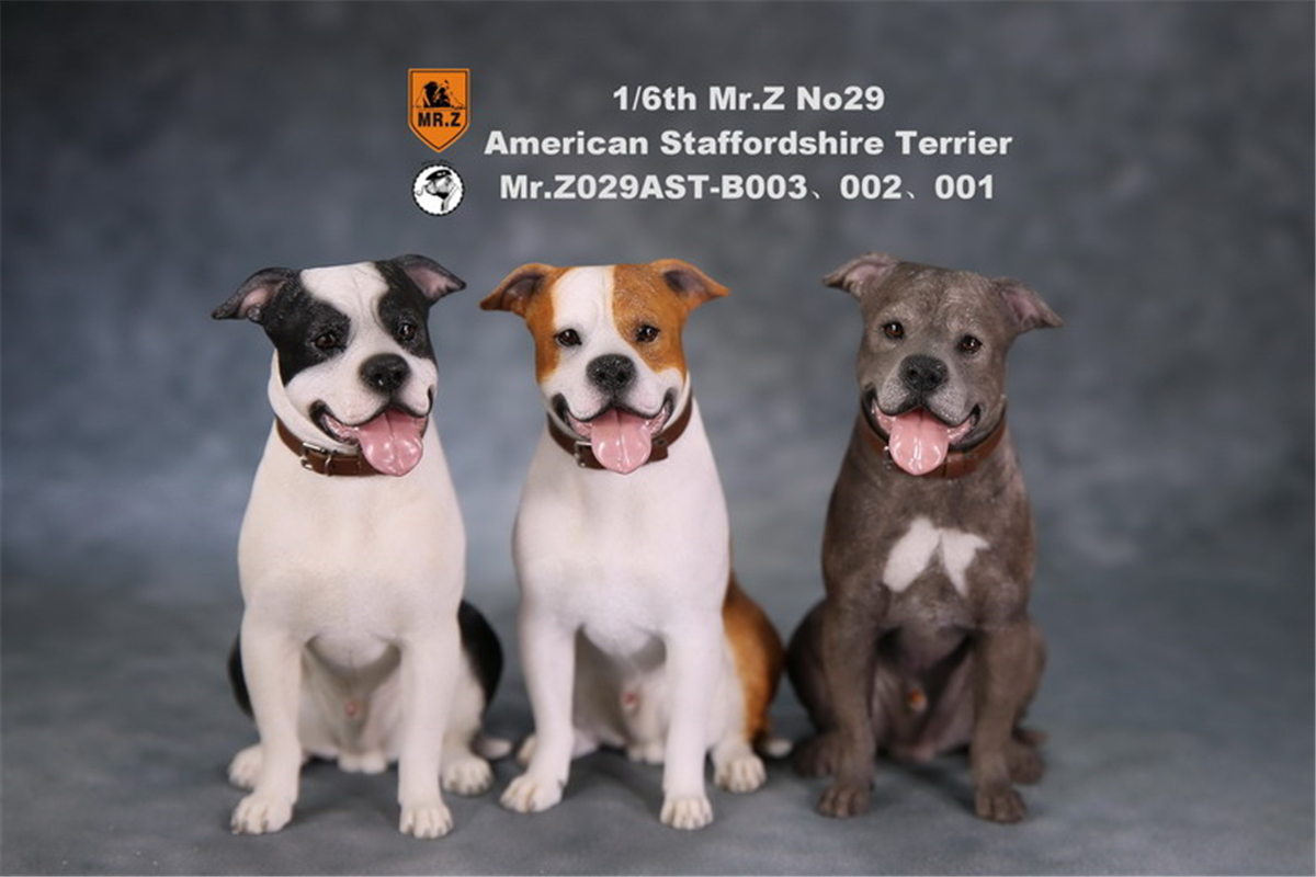 Mr.Z Studio 1:6 American Staffordshire Terrier Dog Pet Healing Figure Canidae Animal Model Toy Collector Desktop Decor Adult Mr.Z Studio 1:6 American Staffordshire Terrier Dog Pet Healing Figure Canidae Animal Model Toy Collector Desktop Decor Adult