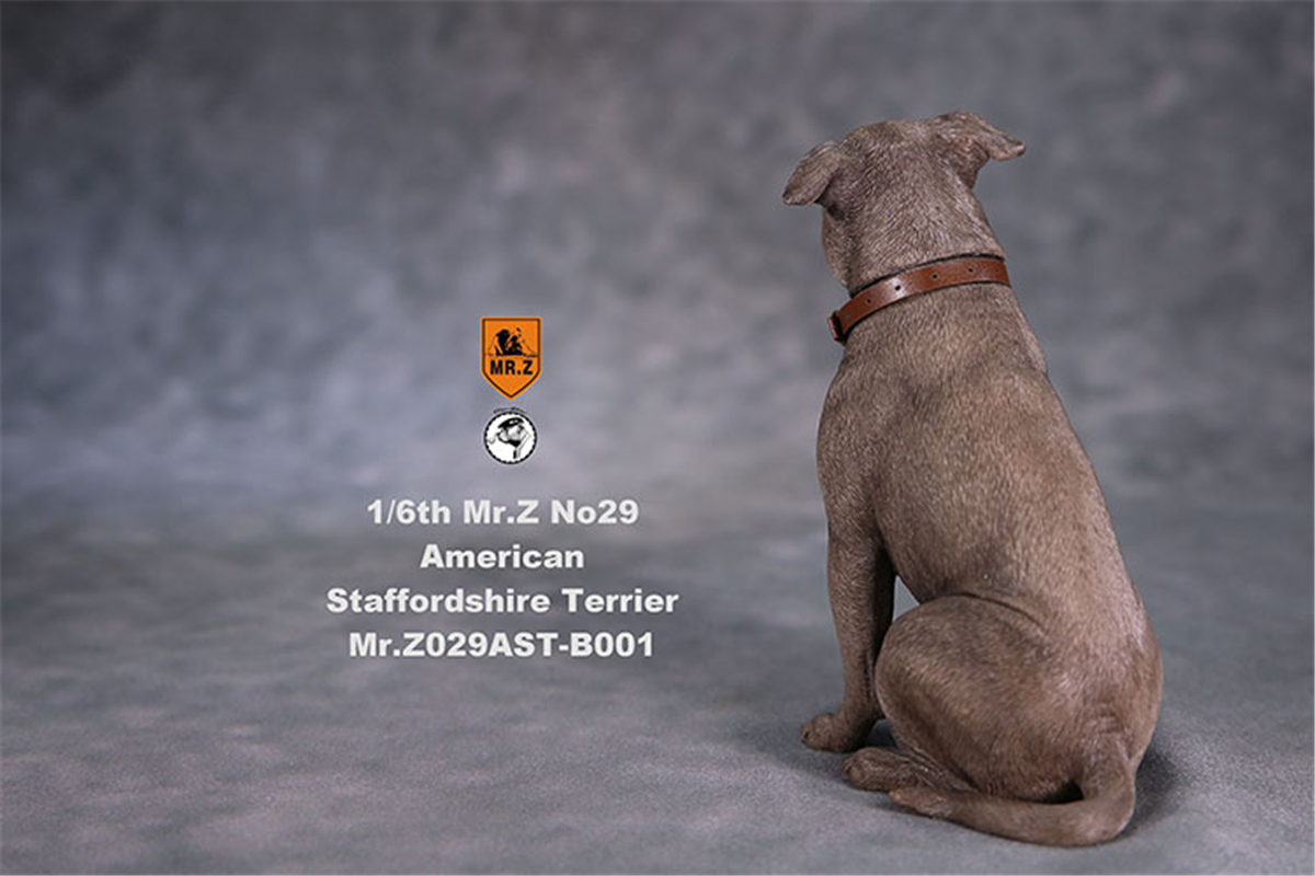 Mr.Z Studio 1:6 American Staffordshire Terrier Dog Pet Healing Figure Canidae Animal Model Toy Collector Desktop Decor Adult Mr.Z Studio 1:6 American Staffordshire Terrier Dog Pet Healing Figure Canidae Animal Model Toy Collector Desktop Decor Adult