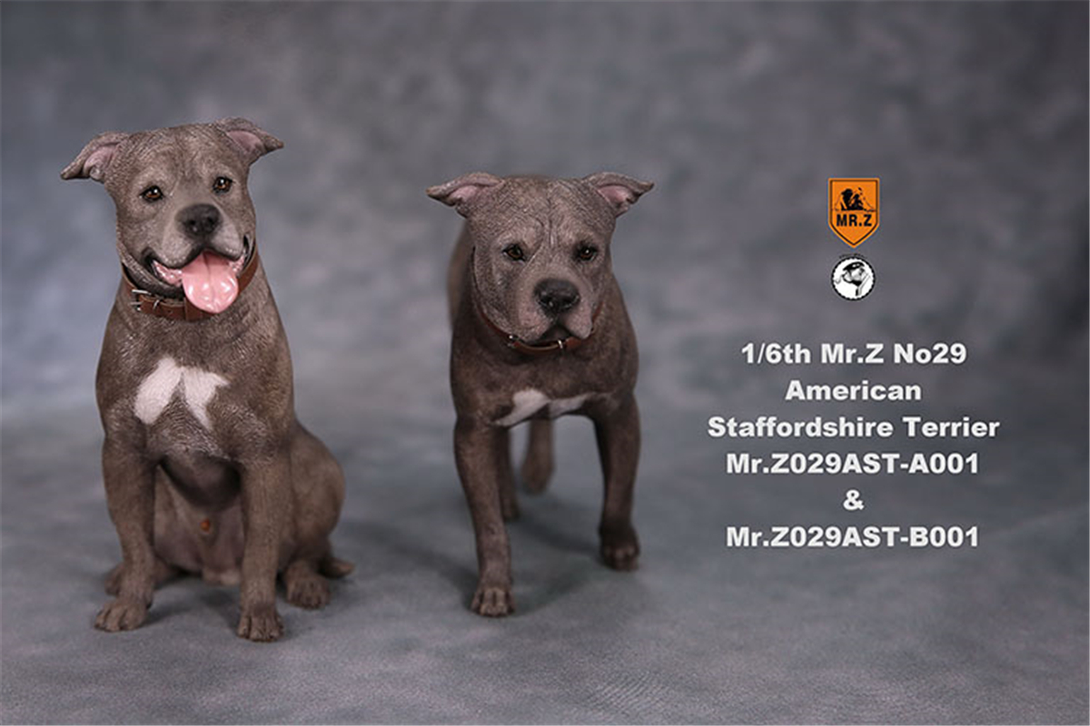 Mr.Z Studio 1:6 American Staffordshire Terrier Dog Pet Healing Figure Canidae Animal Model Toy Collector Desktop Decor Adult Mr.Z Studio 1:6 American Staffordshire Terrier Dog Pet Healing Figure Canidae Animal Model Toy Collector Desktop Decor Adult