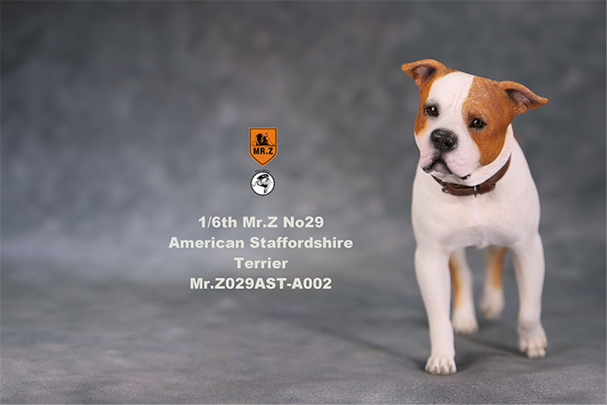 Mr.Z Studio 1:6 American Staffordshire Terrier Dog Pet Healing Figure Canidae Animal Model Toy Collector Desktop Decor Adult Mr.Z Studio 1:6 American Staffordshire Terrier Dog Pet Healing Figure Canidae Animal Model Toy Collector Desktop Decor Adult