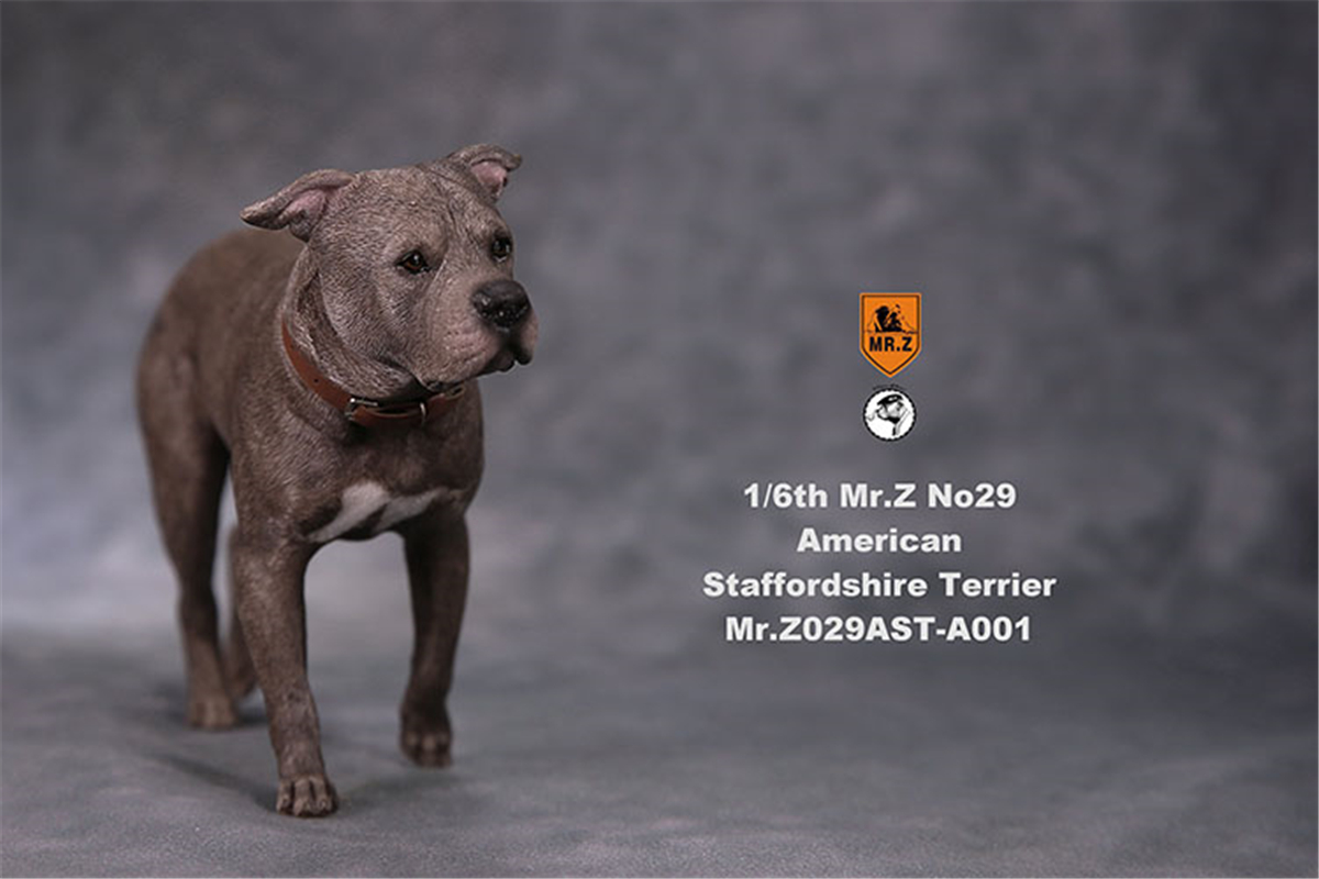Mr.Z Studio 1:6 American Staffordshire Terrier Dog Pet Healing Figure Canidae Animal Model Toy Collector Desktop Decor Adult Mr.Z Studio 1:6 American Staffordshire Terrier Dog Pet Healing Figure Canidae Animal Model Toy Collector Desktop Decor Adult
