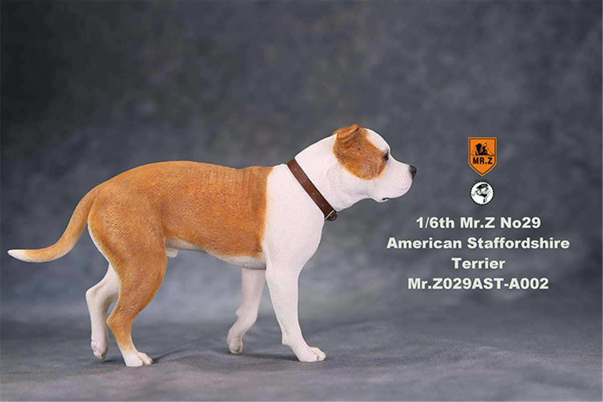 Mr.Z Studio 1:6 American Staffordshire Terrier Dog Pet Healing Figure Canidae Animal Model Toy Collector Desktop Decor Adult Mr.Z Studio 1:6 American Staffordshire Terrier Dog Pet Healing Figure Canidae Animal Model Toy Collector Desktop Decor Adult