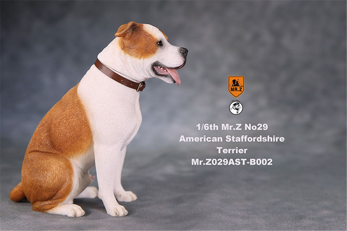 Mr.Z Studio 1:6 American Staffordshire Terrier Dog Pet Healing Figure Canidae Animal Model Toy Collector Desktop Decor Adult Mr.Z Studio 1:6 American Staffordshire Terrier Dog Pet Healing Figure Canidae Animal Model Toy Collector Desktop Decor Adult