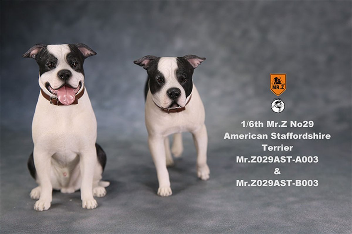 Mr.Z Studio 1:6 American Staffordshire Terrier Dog Pet Healing Figure Canidae Animal Model Toy Collector Desktop Decor Adult Mr.Z Studio 1:6 American Staffordshire Terrier Dog Pet Healing Figure Canidae Animal Model Toy Collector Desktop Decor Adult
