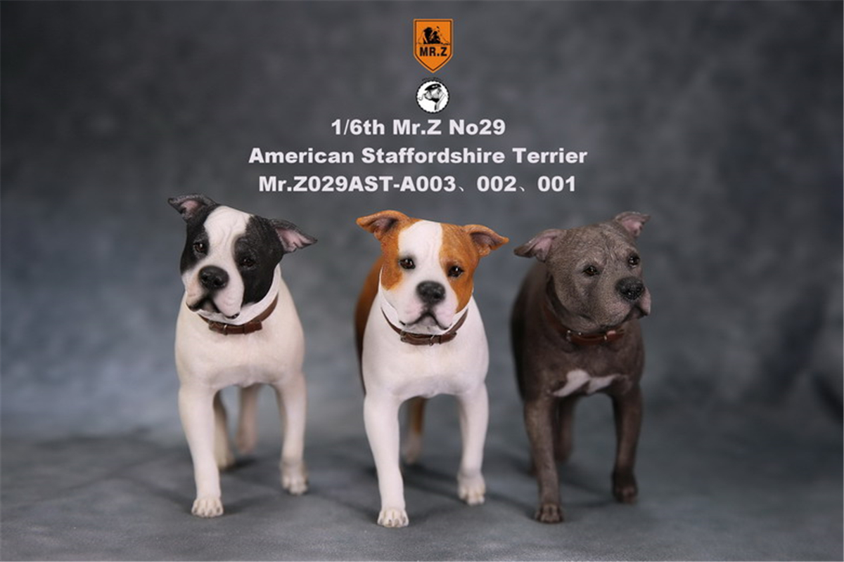 Mr.Z Studio 1:6 American Staffordshire Terrier Dog Pet Healing Figure Canidae Animal Model Toy Collector Desktop Decor Adult Mr.Z Studio 1:6 American Staffordshire Terrier Dog Pet Healing Figure Canidae Animal Model Toy Collector Desktop Decor Adult