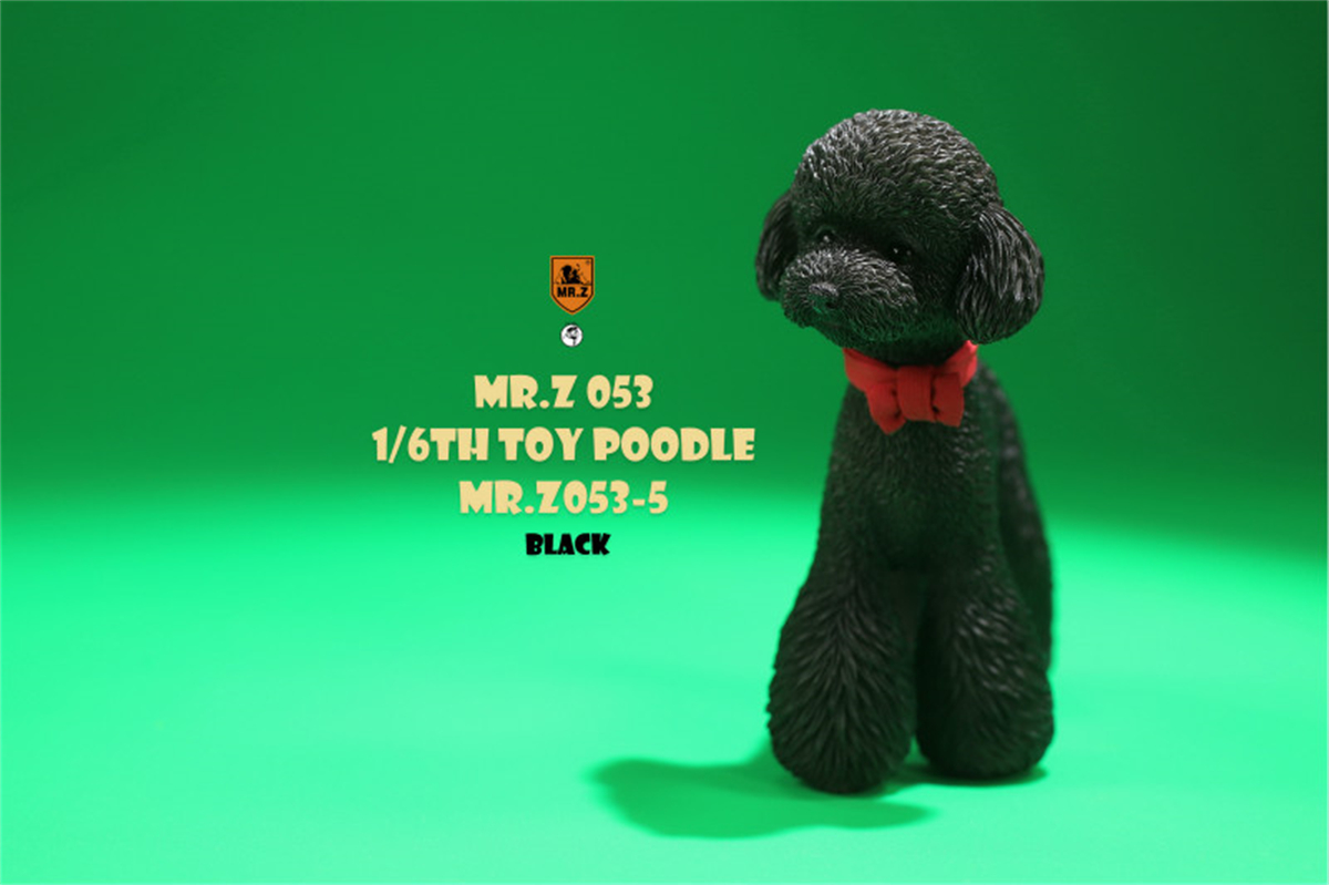 Mr.Z Studio 1:6 Cute Toy Poodle Dog Pet Figure Canidae Animal Model Toys Collector Gift Simulation Teddy Desk Decoration Mini Mr.Z Studio 1:6 Cute Toy Poodle Dog Pet Figure Canidae Animal Model Toys Collector Gift Simulation Teddy Desk Decoration Mini