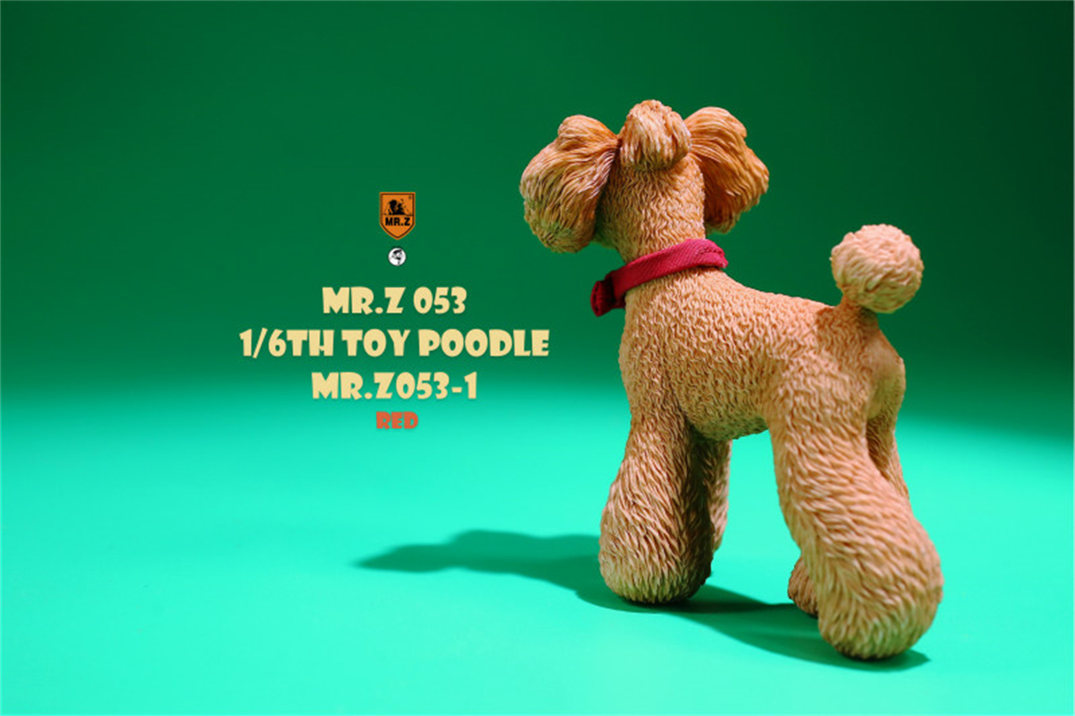 Mr.Z Studio 1:6 Cute Toy Poodle Dog Pet Figure Canidae Animal Model Toys Collector Gift Simulation Teddy Desk Decoration Mini Mr.Z Studio 1:6 Cute Toy Poodle Dog Pet Figure Canidae Animal Model Toys Collector Gift Simulation Teddy Desk Decoration Mini