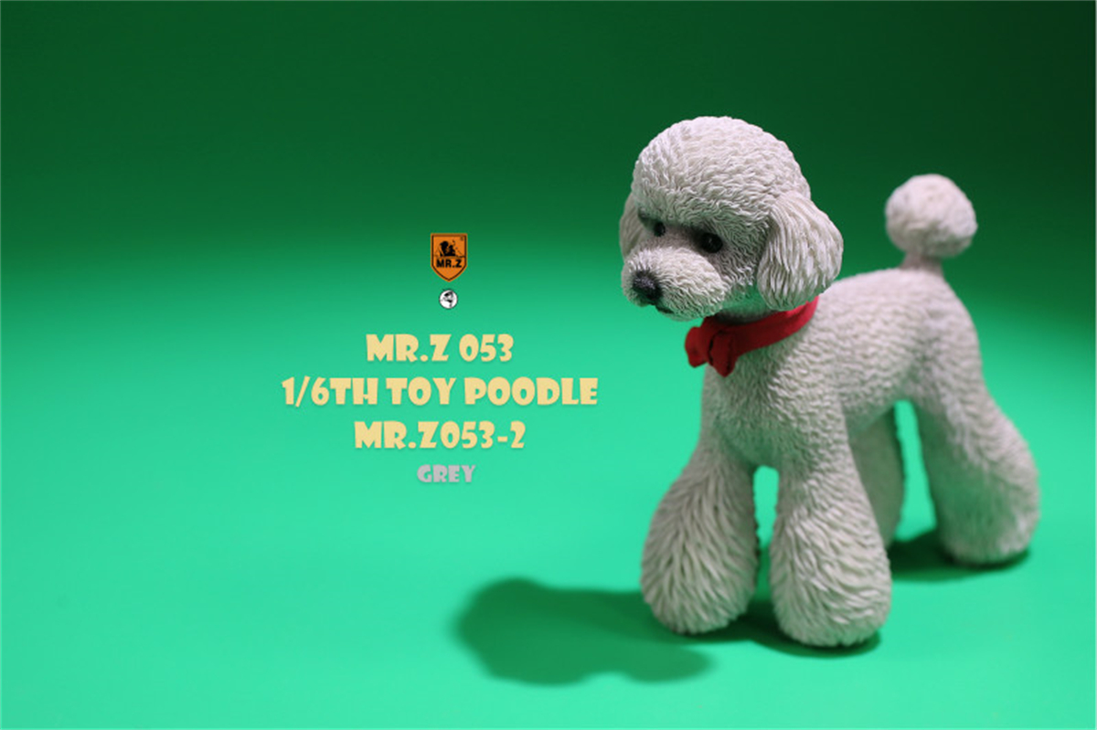 Mr.Z Studio 1:6 Cute Toy Poodle Dog Pet Figure Canidae Animal Model Toys Collector Gift Simulation Teddy Desk Decoration Mini Mr.Z Studio 1:6 Cute Toy Poodle Dog Pet Figure Canidae Animal Model Toys Collector Gift Simulation Teddy Desk Decoration Mini