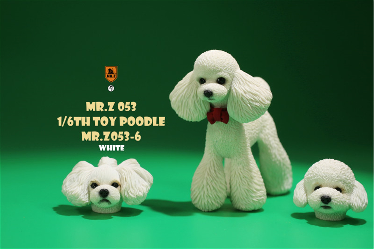Mr.Z Studio 1:6 Cute Toy Poodle Dog Pet Figure Canidae Animal Model Toys Collector Gift Simulation Teddy Desk Decoration Mini Mr.Z Studio 1:6 Cute Toy Poodle Dog Pet Figure Canidae Animal Model Toys Collector Gift Simulation Teddy Desk Decoration Mini