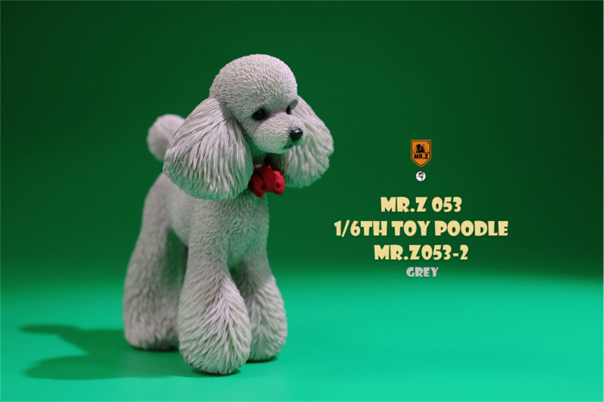 Mr.Z Studio 1:6 Cute Toy Poodle Dog Pet Figure Canidae Animal Model Toys Collector Gift Simulation Teddy Desk Decoration Mini Mr.Z Studio 1:6 Cute Toy Poodle Dog Pet Figure Canidae Animal Model Toys Collector Gift Simulation Teddy Desk Decoration Mini