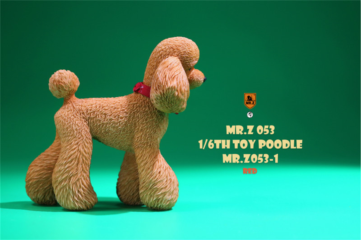 Mr.Z Studio 1:6 Cute Toy Poodle Dog Pet Figure Canidae Animal Model Toys Collector Gift Simulation Teddy Desk Decoration Mini Mr.Z Studio 1:6 Cute Toy Poodle Dog Pet Figure Canidae Animal Model Toys Collector Gift Simulation Teddy Desk Decoration Mini