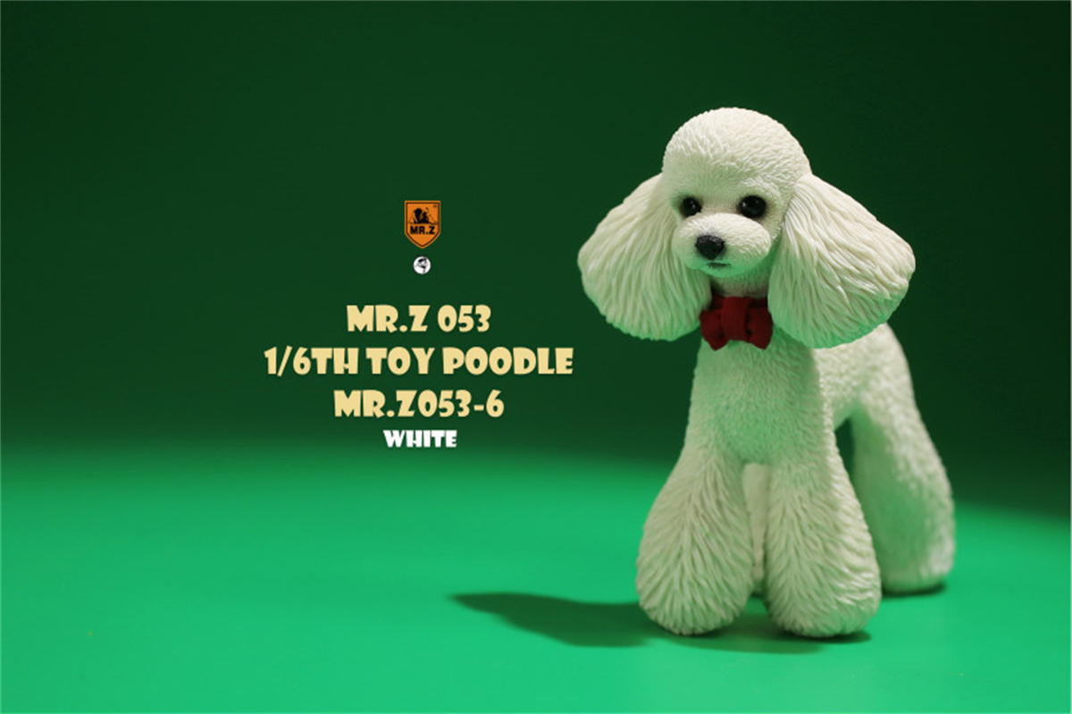 Mr.Z Studio 1:6 Cute Toy Poodle Dog Pet Figure Canidae Animal Model Toys Collector Gift Simulation Teddy Desk Decoration Mini Mr.Z Studio 1:6 Cute Toy Poodle Dog Pet Figure Canidae Animal Model Toys Collector Gift Simulation Teddy Desk Decoration Mini