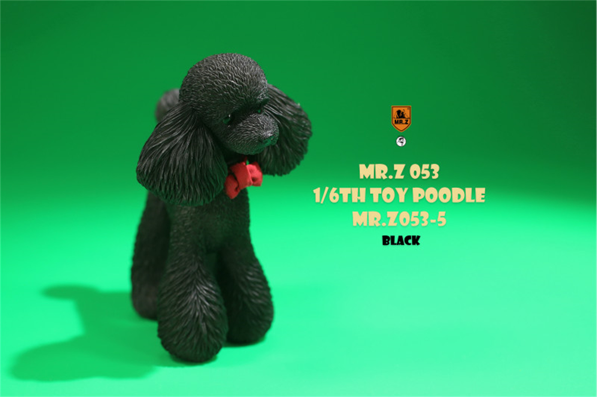 Mr.Z Studio 1:6 Cute Toy Poodle Dog Pet Figure Canidae Animal Model Toys Collector Gift Simulation Teddy Desk Decoration Mini Mr.Z Studio 1:6 Cute Toy Poodle Dog Pet Figure Canidae Animal Model Toys Collector Gift Simulation Teddy Desk Decoration Mini