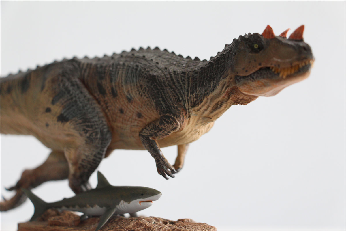 IN STOCK! Nanmu Studio 1/35 Ceratosaurus Scavenge Figure with Shark Base Jurassic Dinosaur Collector Model Toys Gift Kids Adult