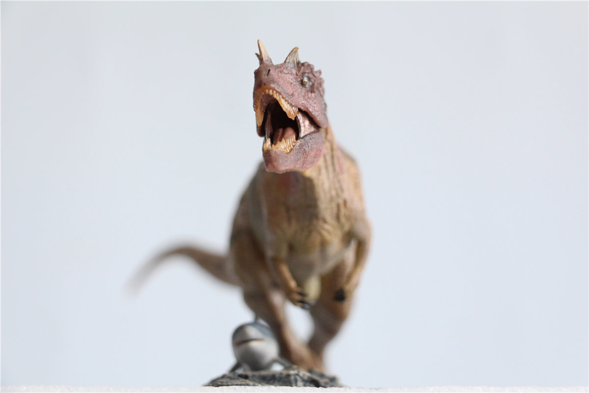 IN STOCK! Nanmu Studio 1/35 Ceratosaurus Scavenge Figure with Shark Base Jurassic Dinosaur Collector Model Toys Gift Kids Adult