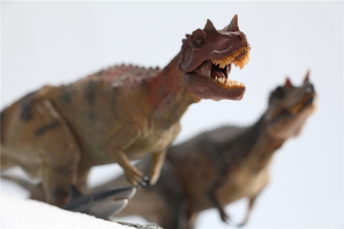 IN STOCK! Nanmu Studio 1/35 Ceratosaurus Scavenge Figure with Shark Base Jurassic Dinosaur Collector Model Toys Gift Kids Adult