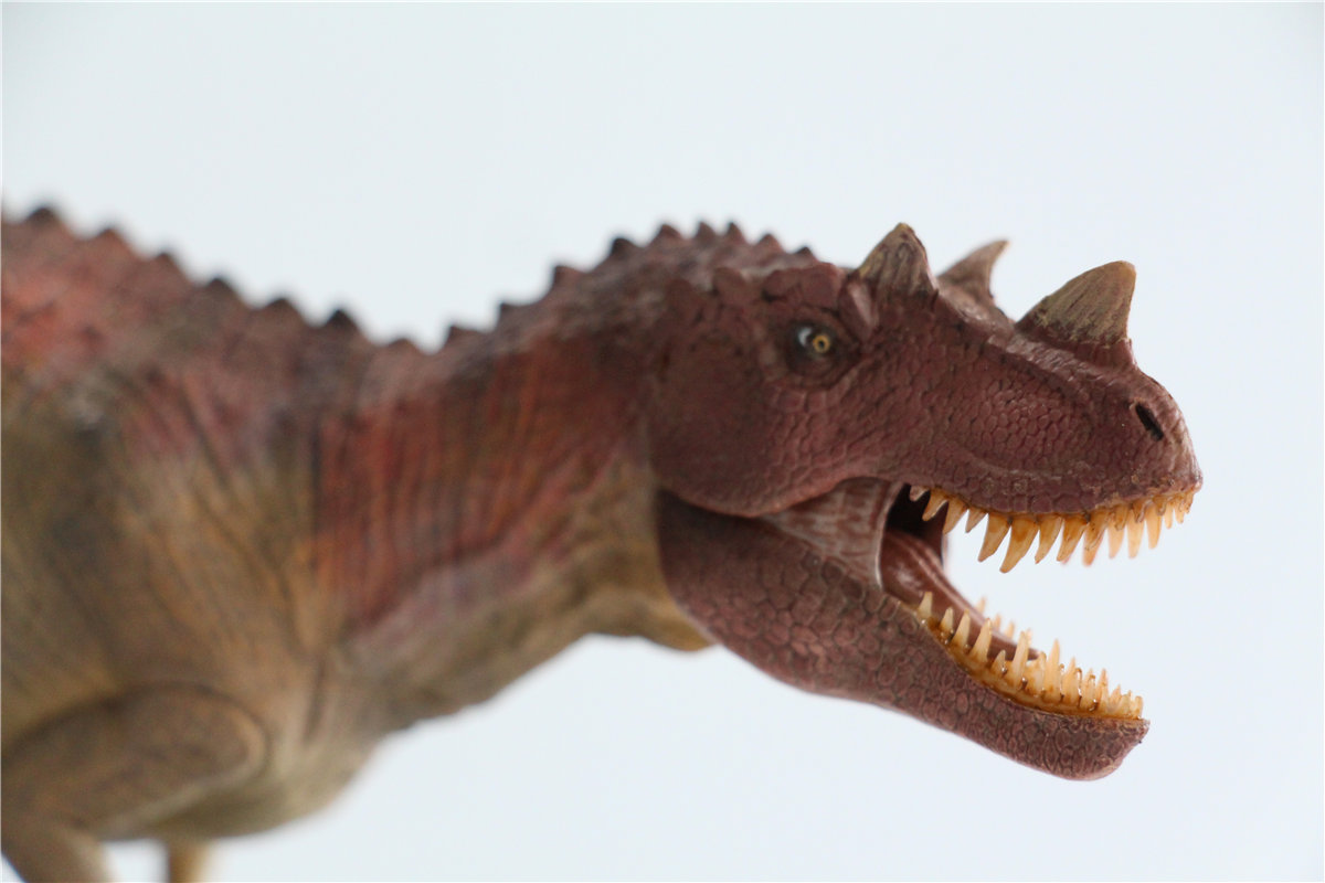 IN STOCK! Nanmu Studio 1/35 Ceratosaurus Scavenge Figure with Shark Base Jurassic Dinosaur Collector Model Toys Gift Kids Adult