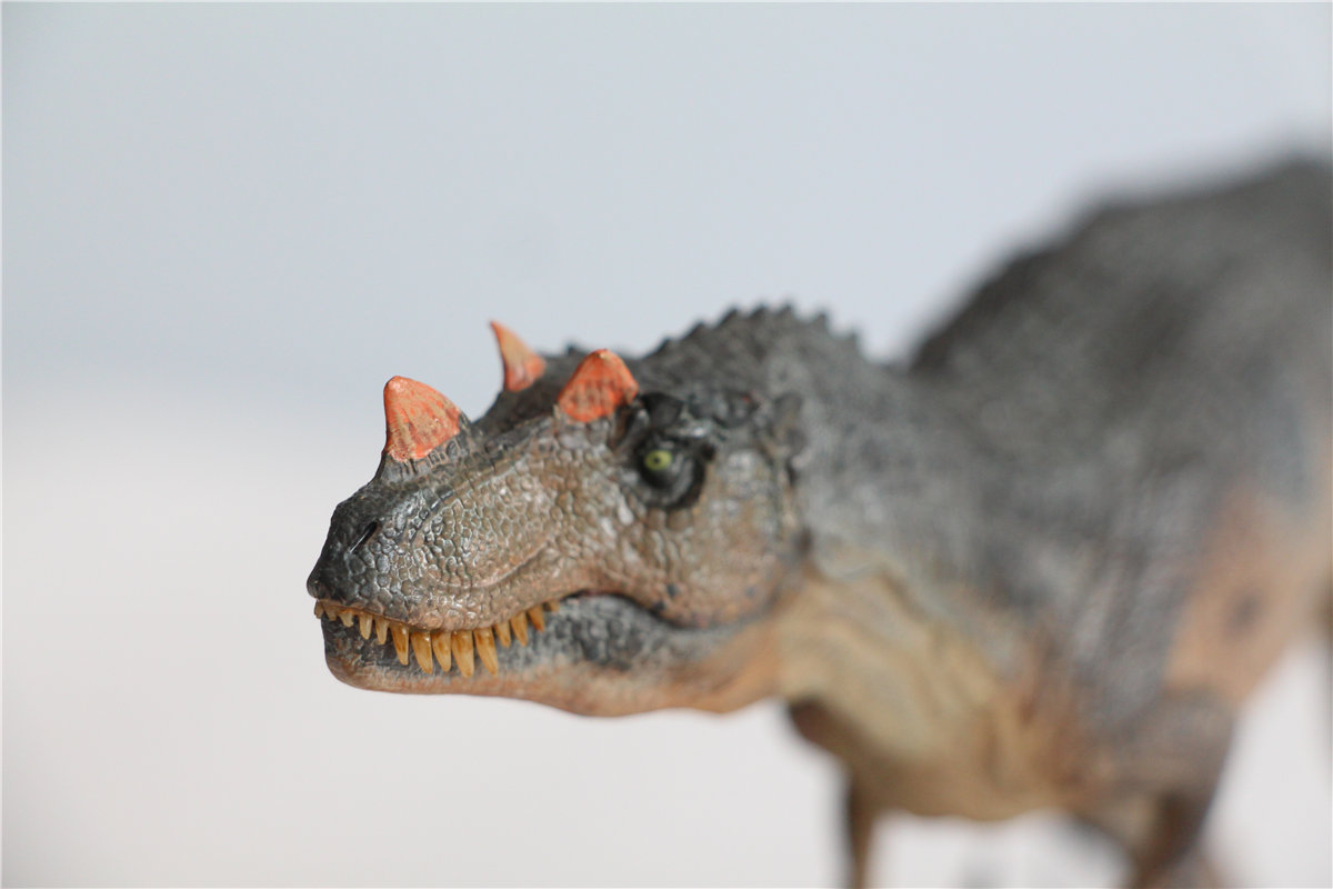 IN STOCK! Nanmu Studio 1/35 Ceratosaurus Scavenge Figure with Shark Base Jurassic Dinosaur Collector Model Toys Gift Kids Adult