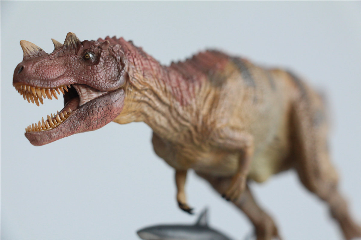 IN STOCK! Nanmu Studio 1/35 Ceratosaurus Scavenge Figure with Shark Base Jurassic Dinosaur Collector Model Toys Gift Kids Adult