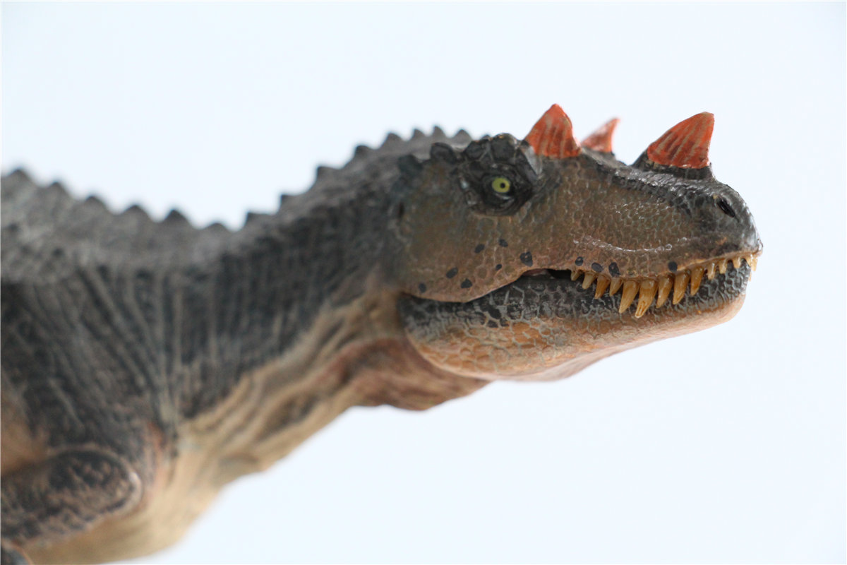 IN STOCK! Nanmu Studio 1/35 Ceratosaurus Scavenge Figure with Shark Base Jurassic Dinosaur Collector Model Toys Gift Kids Adult