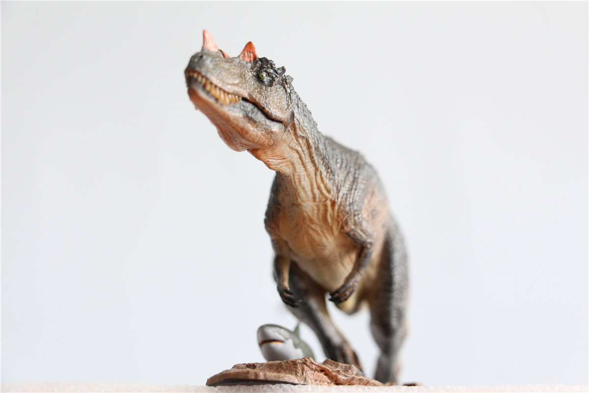 IN STOCK! Nanmu Studio 1/35 Ceratosaurus Scavenge Figure with Shark Base Jurassic Dinosaur Collector Model Toys Gift Kids Adult