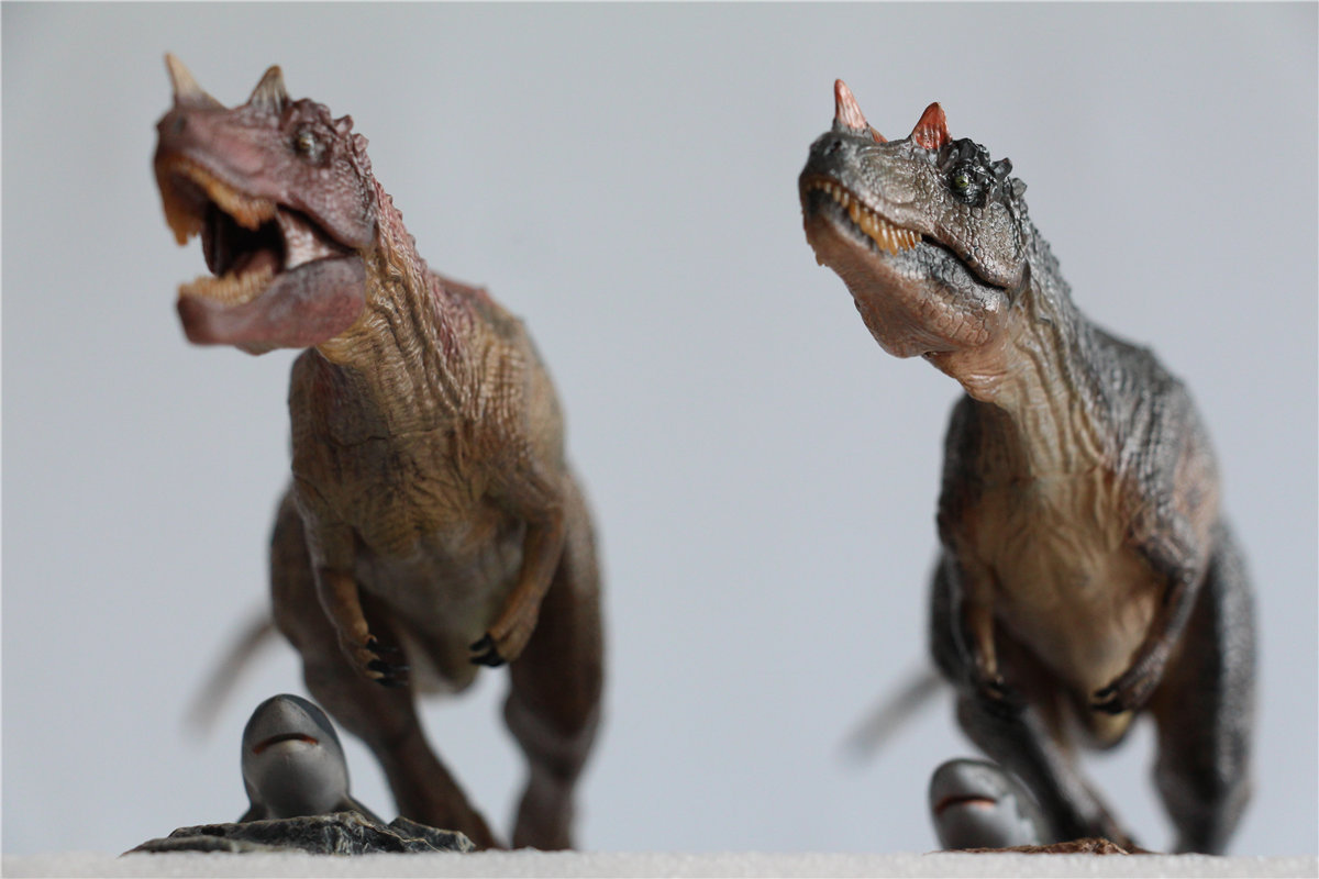 IN STOCK! Nanmu Studio 1/35 Ceratosaurus Scavenge Figure with Shark Base Jurassic Dinosaur Collector Model Toys Gift Kids Adult