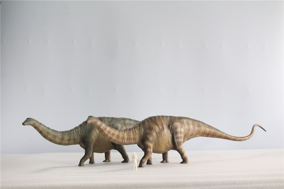 IN STOCK Nanmu 1:35 Super Apatosaurus Bastion Figure Diplodocidae Dinosaur Collector Animal Model Toy Gift Retail Box IN STOCK Nanmu 1:35 Super Apatosaurus Bastion Figure Diplodocidae Dinosaur Collector Animal Model Toy Gift Retail Box