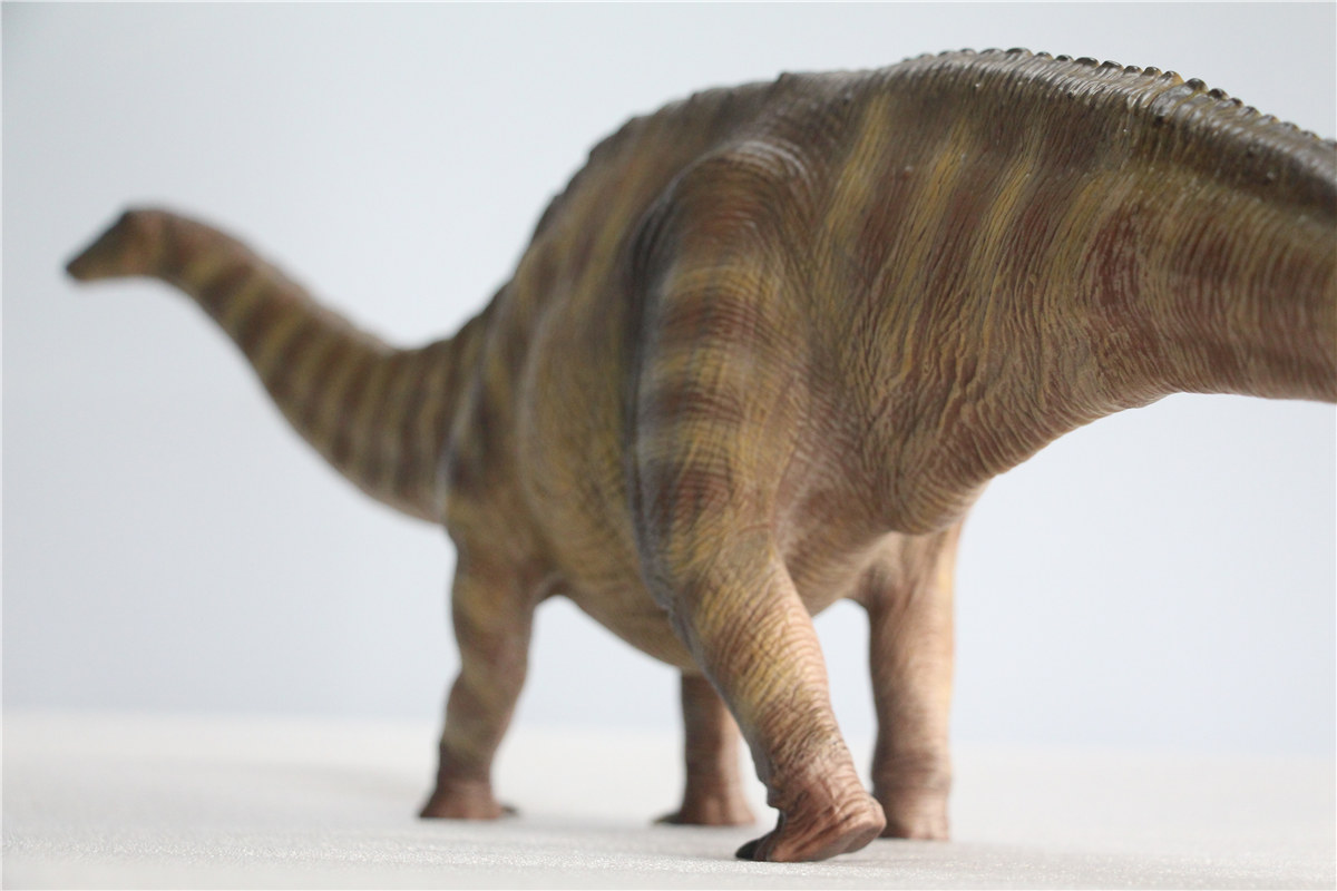 IN STOCK Nanmu 1:35 Super Apatosaurus Bastion Figure Diplodocidae Dinosaur Collector Animal Model Toy Gift Retail Box IN STOCK Nanmu 1:35 Super Apatosaurus Bastion Figure Diplodocidae Dinosaur Collector Animal Model Toy Gift Retail Box