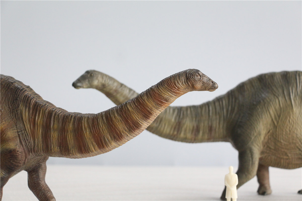 IN STOCK Nanmu 1:35 Super Apatosaurus Bastion Figure Diplodocidae Dinosaur Collector Animal Model Toy Gift Retail Box IN STOCK Nanmu 1:35 Super Apatosaurus Bastion Figure Diplodocidae Dinosaur Collector Animal Model Toy Gift Retail Box