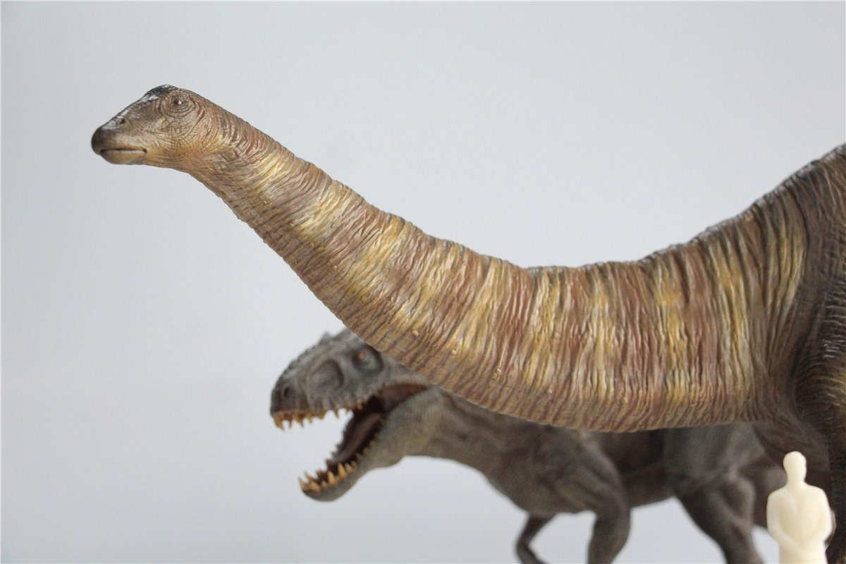 IN STOCK Nanmu 1:35 Super Apatosaurus Bastion Figure Diplodocidae Dinosaur Collector Animal Model Toy Gift Retail Box IN STOCK Nanmu 1:35 Super Apatosaurus Bastion Figure Diplodocidae Dinosaur Collector Animal Model Toy Gift Retail Box