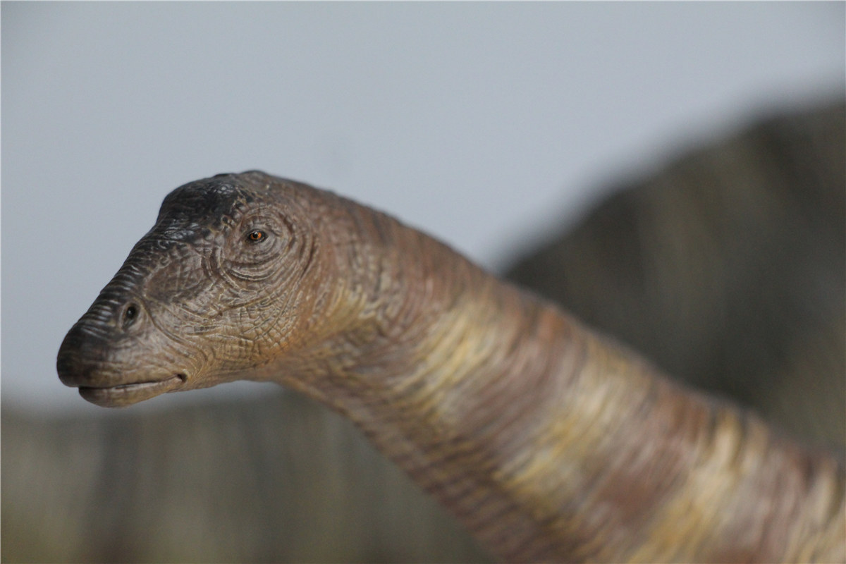 IN STOCK Nanmu 1:35 Super Apatosaurus Bastion Figure Diplodocidae Dinosaur Collector Animal Model Toy Gift Retail Box IN STOCK Nanmu 1:35 Super Apatosaurus Bastion Figure Diplodocidae Dinosaur Collector Animal Model Toy Gift Retail Box