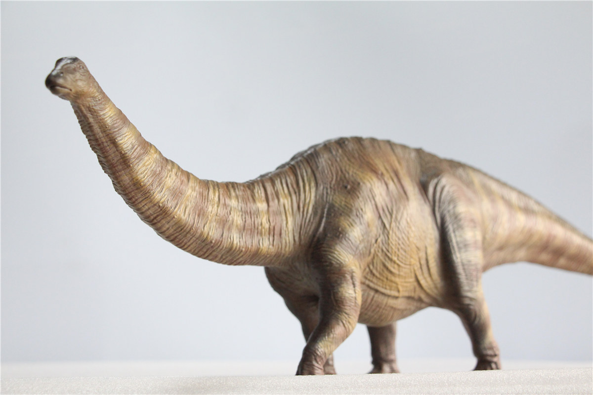 IN STOCK Nanmu 1:35 Super Apatosaurus Bastion Figure Diplodocidae Dinosaur Collector Animal Model Toy Gift Retail Box IN STOCK Nanmu 1:35 Super Apatosaurus Bastion Figure Diplodocidae Dinosaur Collector Animal Model Toy Gift Retail Box
