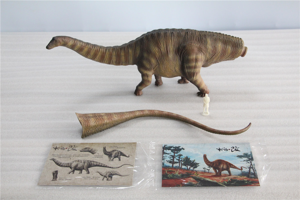 IN STOCK Nanmu 1:35 Super Apatosaurus Bastion Figure Diplodocidae Dinosaur Collector Animal Model Toy Gift Retail Box IN STOCK Nanmu 1:35 Super Apatosaurus Bastion Figure Diplodocidae Dinosaur Collector Animal Model Toy Gift Retail Box