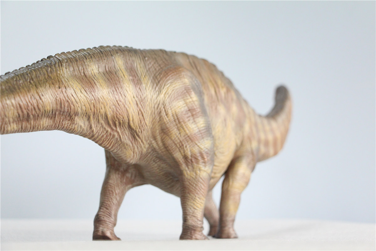 IN STOCK Nanmu 1:35 Super Apatosaurus Bastion Figure Diplodocidae Dinosaur Collector Animal Model Toy Gift Retail Box IN STOCK Nanmu 1:35 Super Apatosaurus Bastion Figure Diplodocidae Dinosaur Collector Animal Model Toy Gift Retail Box