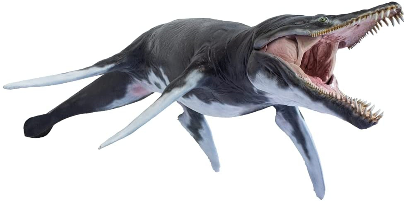 PNSO MARINE MUSEUM JEFF THE KRONOSAURUS 1:35 SCIENTIFIC ART MODEL Animal Collector Model Adult Kids Education Toy Gift