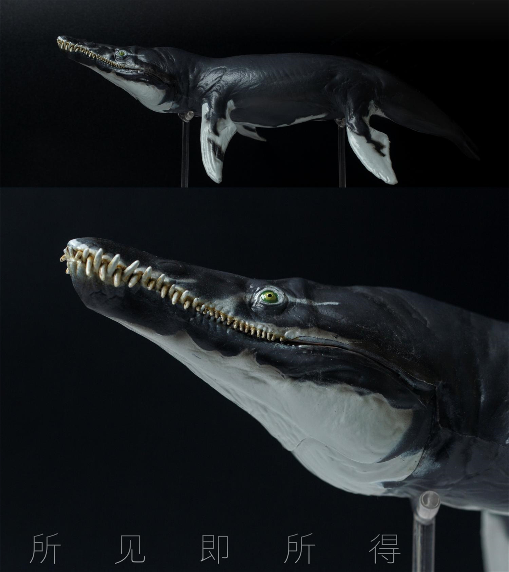 PNSO MARINE MUSEUM JEFF THE KRONOSAURUS 1:35 SCIENTIFIC ART MODEL Animal Collector Model Adult Kids Education Toy Gift