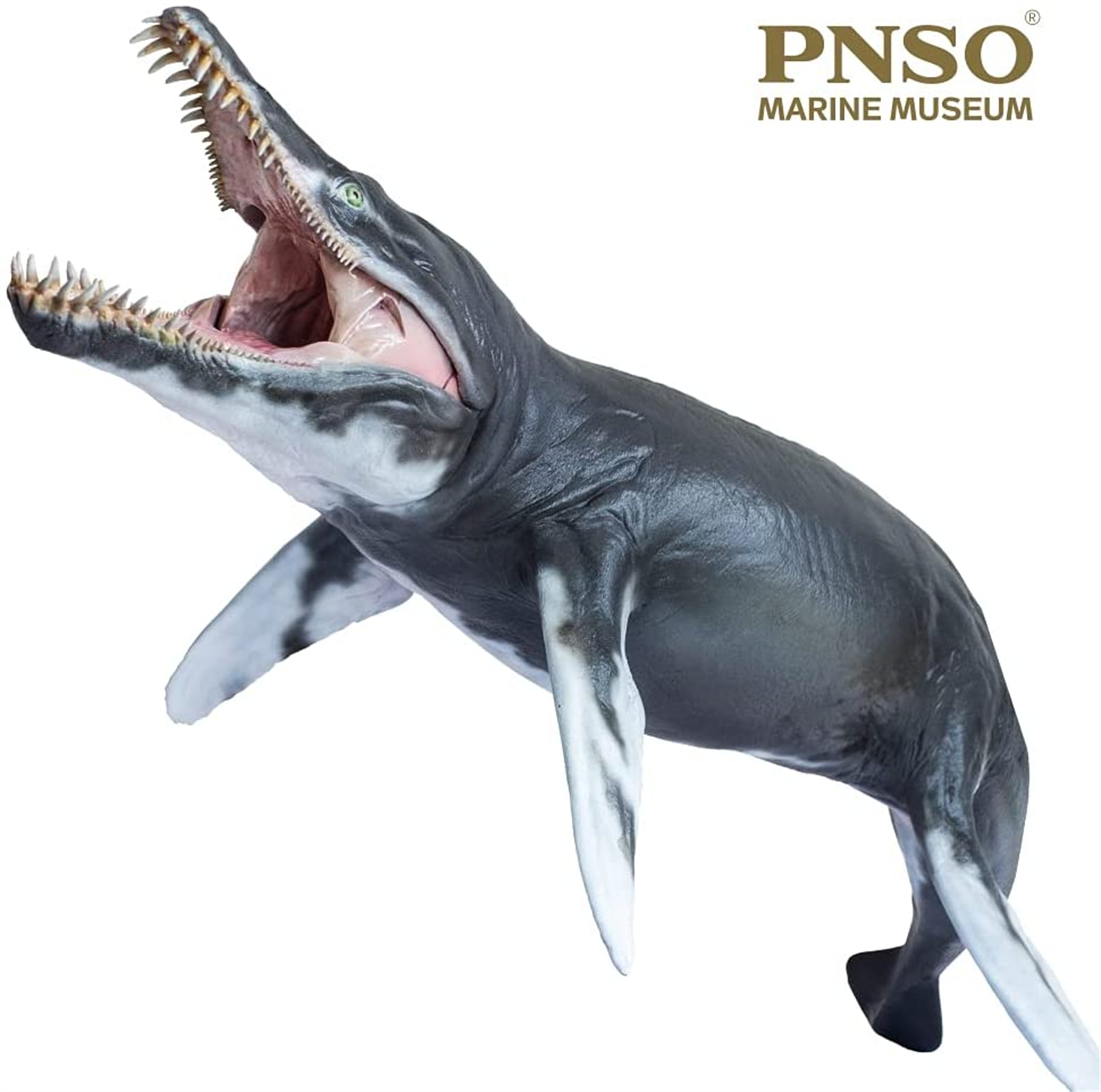 PNSO MARINE MUSEUM JEFF THE KRONOSAURUS 1:35 SCIENTIFIC ART MODEL Animal Collector Model Adult Kids Education Toy Gift