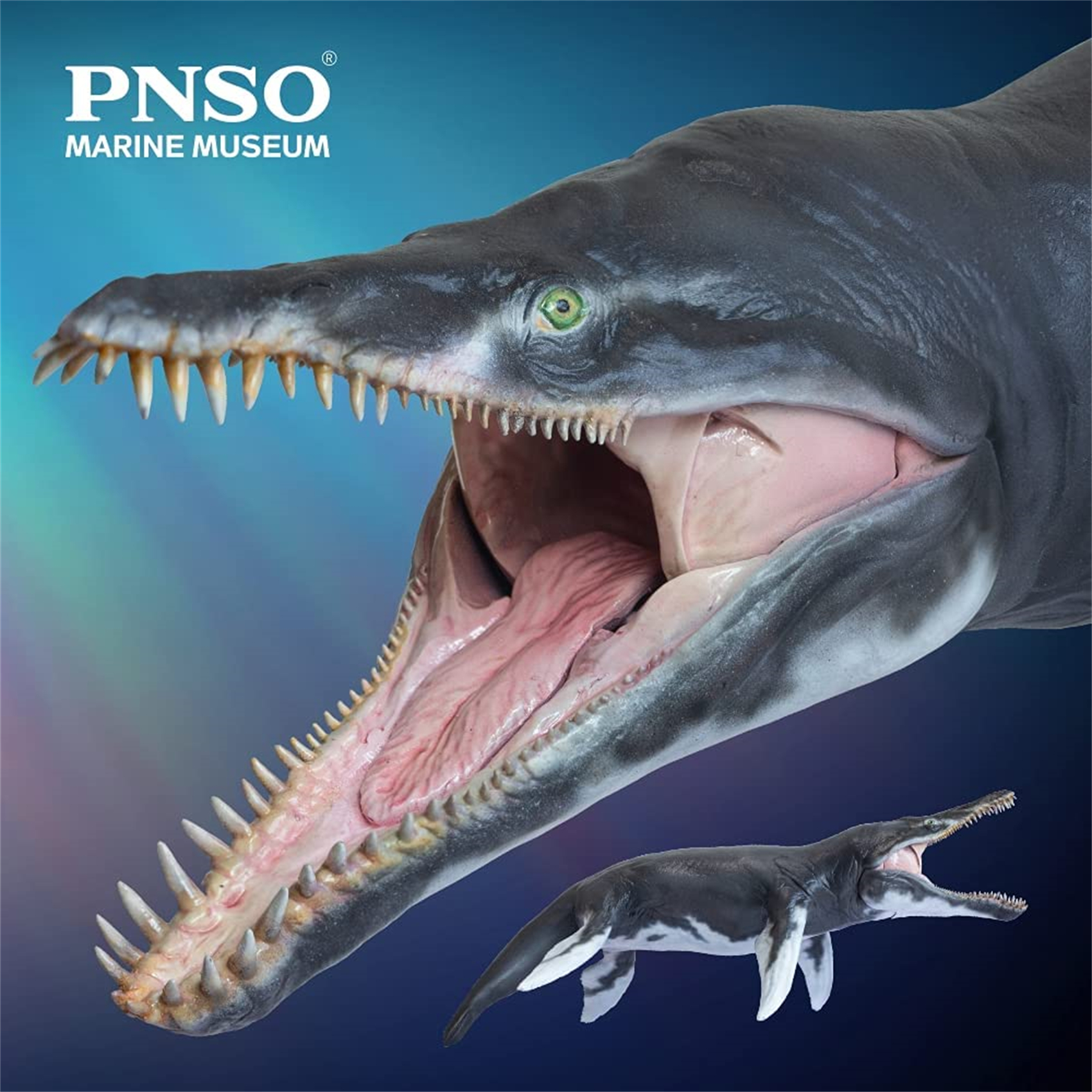 PNSO MARINE MUSEUM JEFF THE KRONOSAURUS 1:35 SCIENTIFIC ART MODEL Animal Collector Model Adult Kids Education Toy Gift