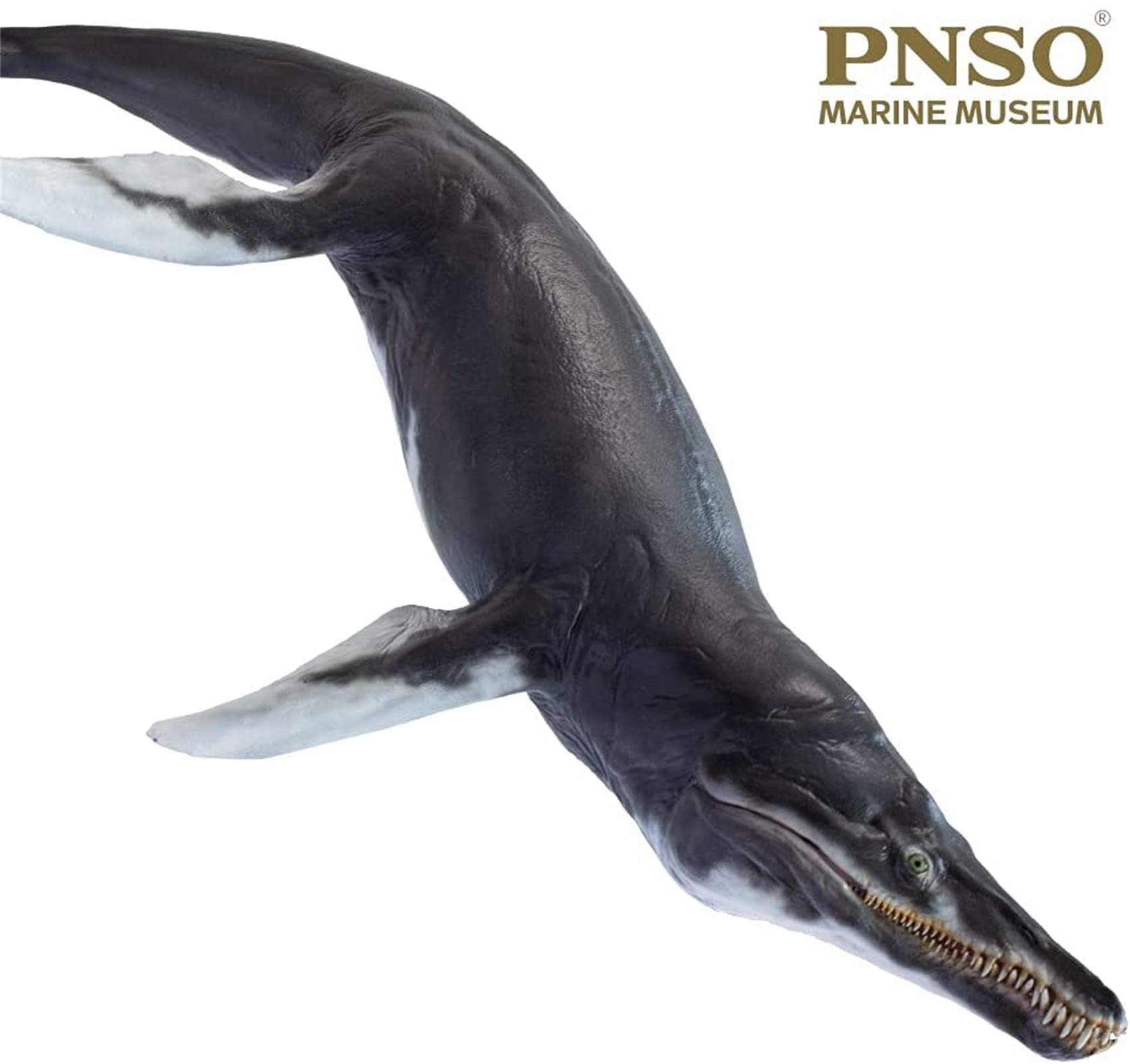 PNSO MARINE MUSEUM JEFF THE KRONOSAURUS 1:35 SCIENTIFIC ART MODEL Animal Collector Model Adult Kids Education Toy Gift