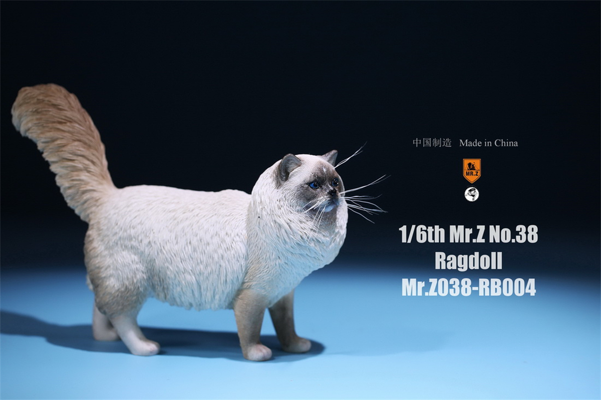 Mr.Z Studio 1:6 Ragdoll Figure Cute Cat Pet Animal Model Resin Collector Decoration Toy Decoration Ornaments Birthday Gift Doll Mr.Z Studio 1:6 Ragdoll Figure Cute Cat Pet Animal Model Resin Collector Decoration Toy Decoration Ornaments Birthday Gift Doll
